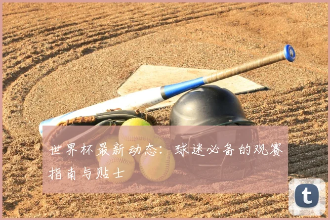 世界杯最新动态:球迷必备的观赛指南与贴士